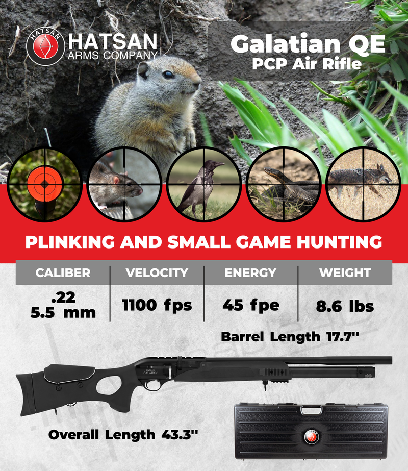 Hatsan Galatian III QuietEnergy Air Rifle with Hard Case | 100x Paper Targets | Lead Pellets Bundle
