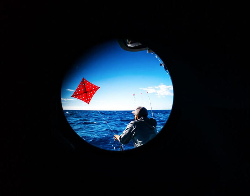 SIG SAUER ZULU6 HDX Marine Image Stabilized Binoculars - HDX Lens System, 16x42mm (SOZ6WP16OR)