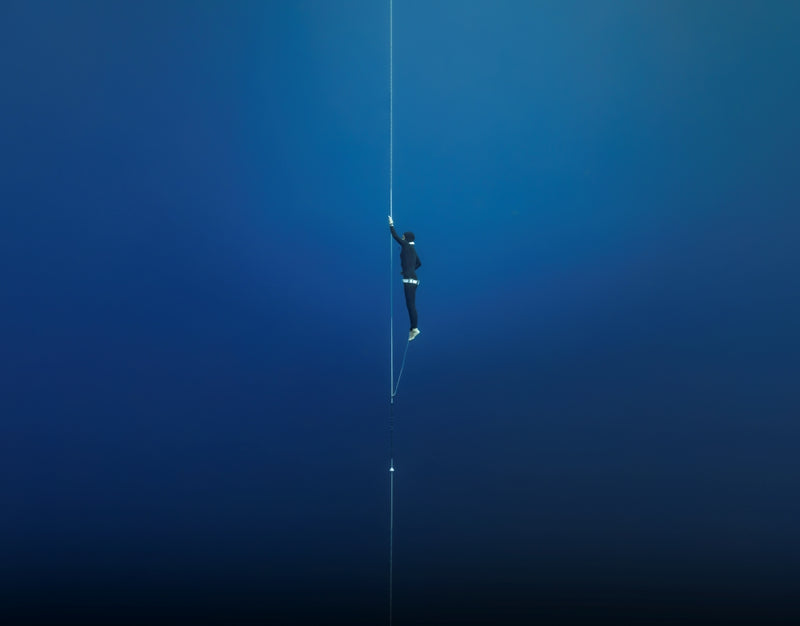 Garmin Descent T2 Transceiver (010-13308-00)