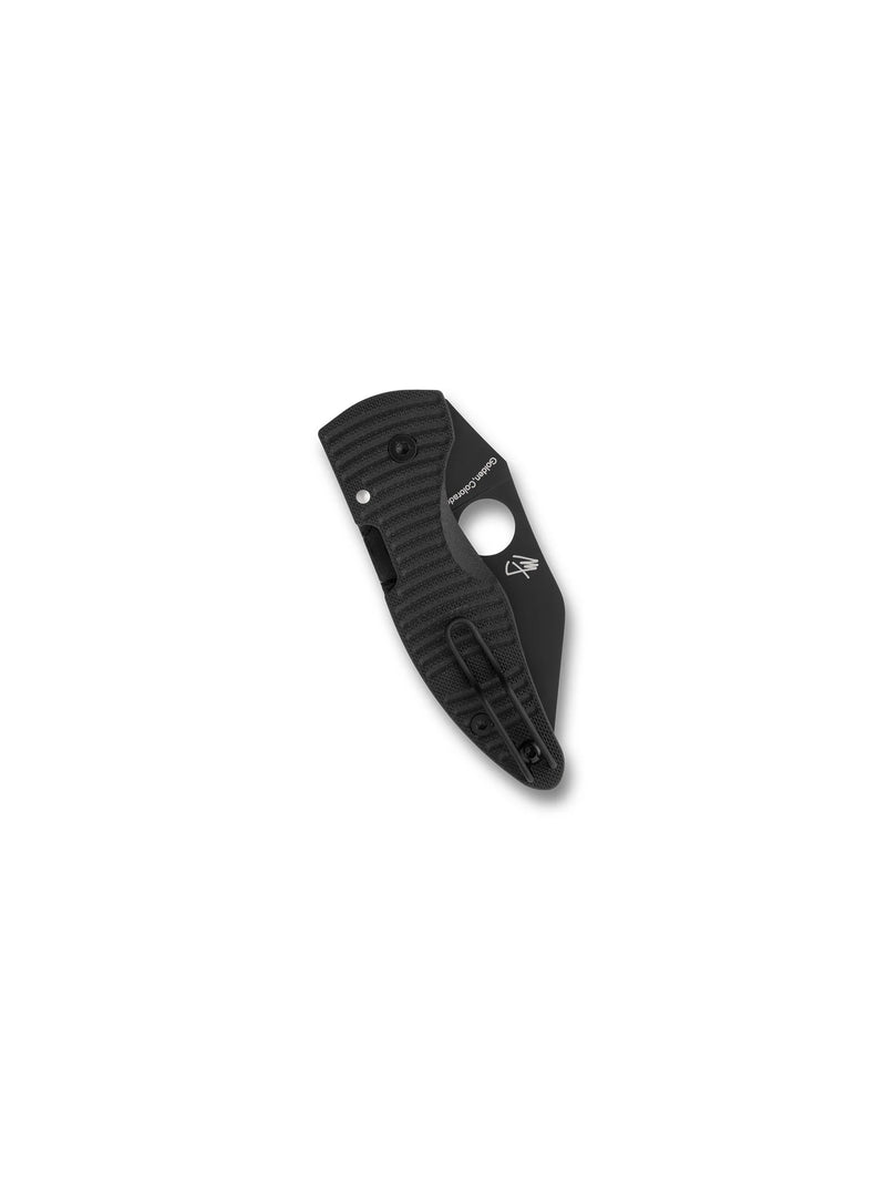 Spyderco MicroJimbo Salt 2.45" Plain Edge Folding Pocket Knife (C264GMCBKP)