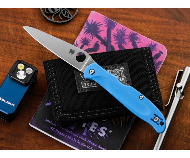 Spyderco Charisma 2.98" Plain Edge Blue Folding Pocket Knife (C259PBL)