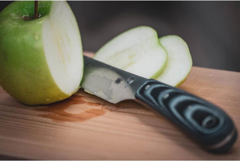 Spyderco Bow River Plain Edge 4.36" Fixed Blade Knife (FB46GP)