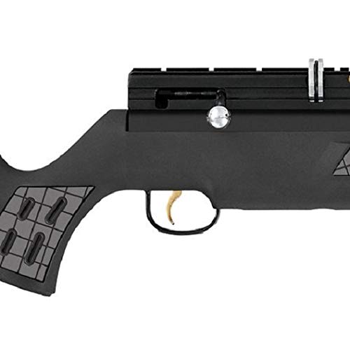 Hatsan BT65SB .25 Caliber PCP Bolt Action Air Rifle (HGBT65SB-25)