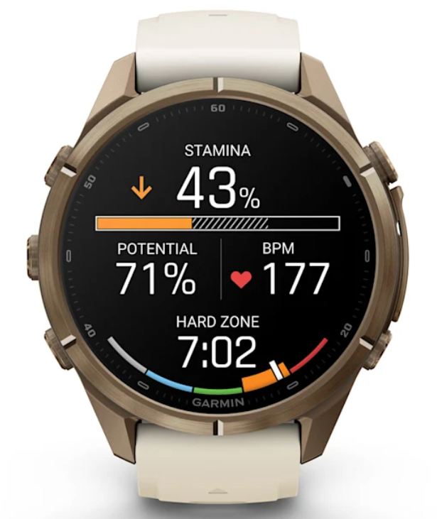 Garmin Fenix 9 Pro AMOLED Premium Multisport GPS Smartwatch, Titanium, Sapphire