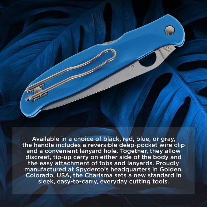 Spyderco Charisma 2.98" Plain Edge Blue Folding Pocket Knife (C259PBL)