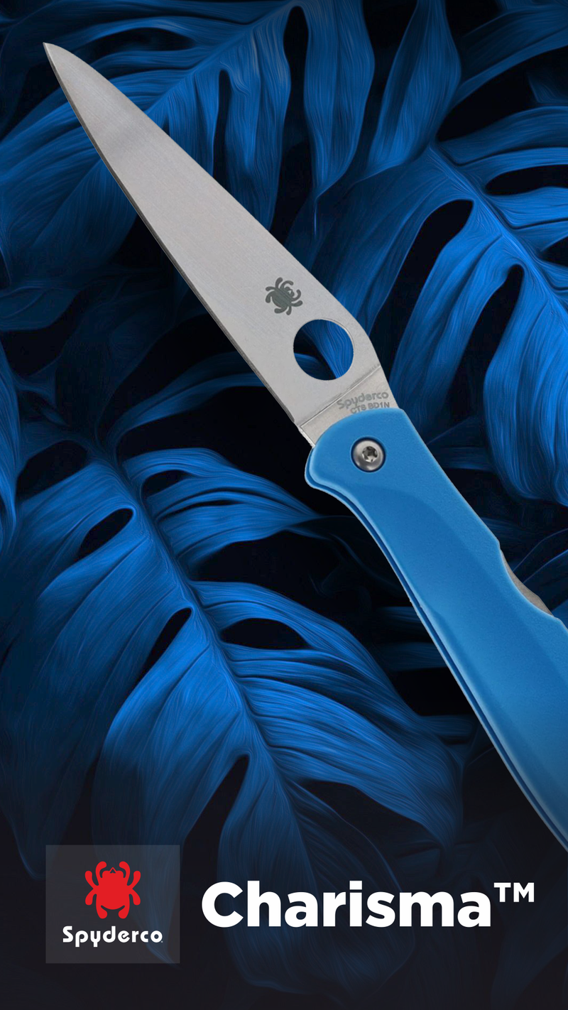 Spyderco Charisma 2.98" Plain Edge Blue Folding Pocket Knife (C259PBL)