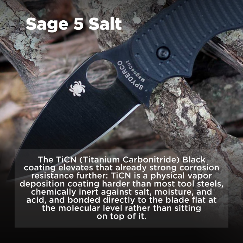 Spyderco Sage 5 Salt CPM MagnaCut Black 3" Plain Edge Folding Pocket Knife (C123GPBKMCBK)