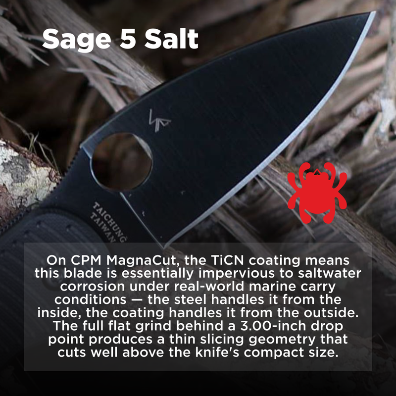 Spyderco Sage 5 Salt CPM MagnaCut Black 3" Plain Edge Folding Pocket Knife (C123GPBKMCBK)