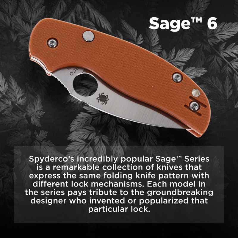 Spyderco Sage 6 CPM REX 121 Plain Edge 3" Folding Pocket Knife (C123GPBOR)