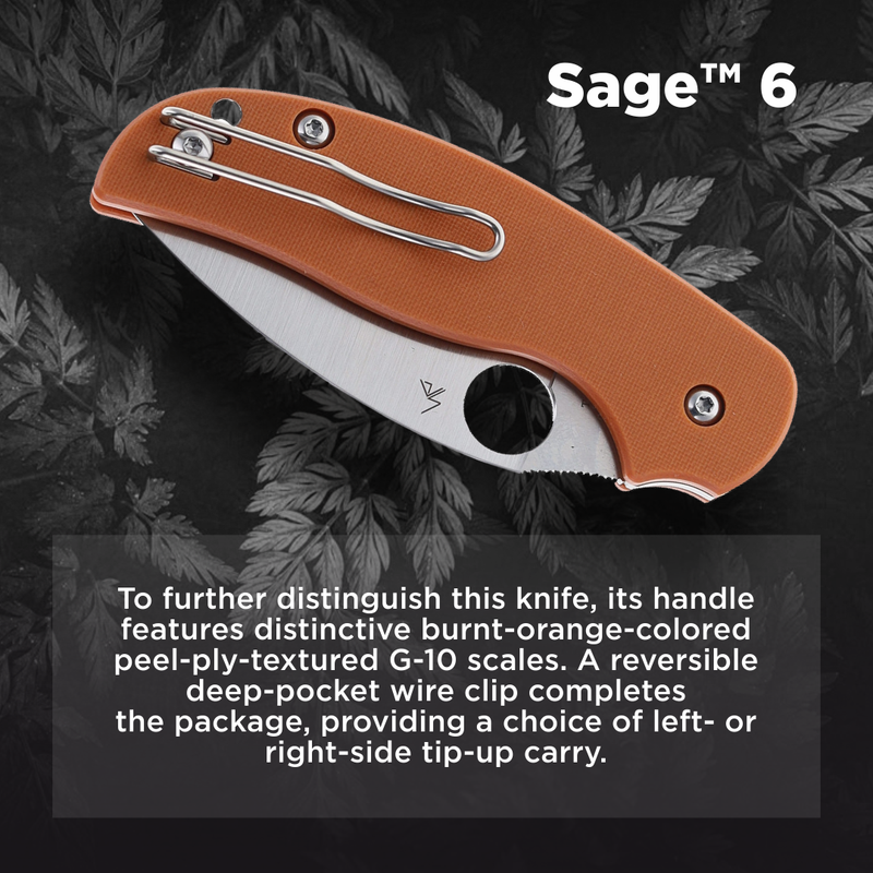 Spyderco Sage 6 CPM REX 121 Plain Edge 3" Folding Pocket Knife (C123GPBOR)