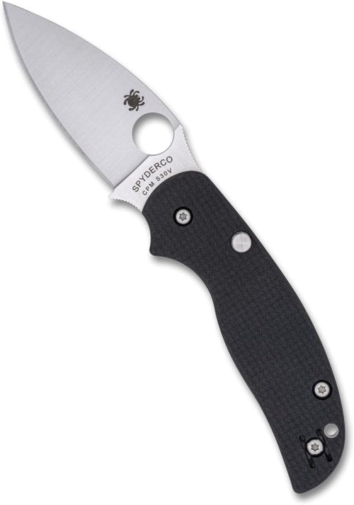 Spyderco Sage 6 Button Compression Lock 3" Plain Edge Folding Pocket Knife (C123CFBCLP)