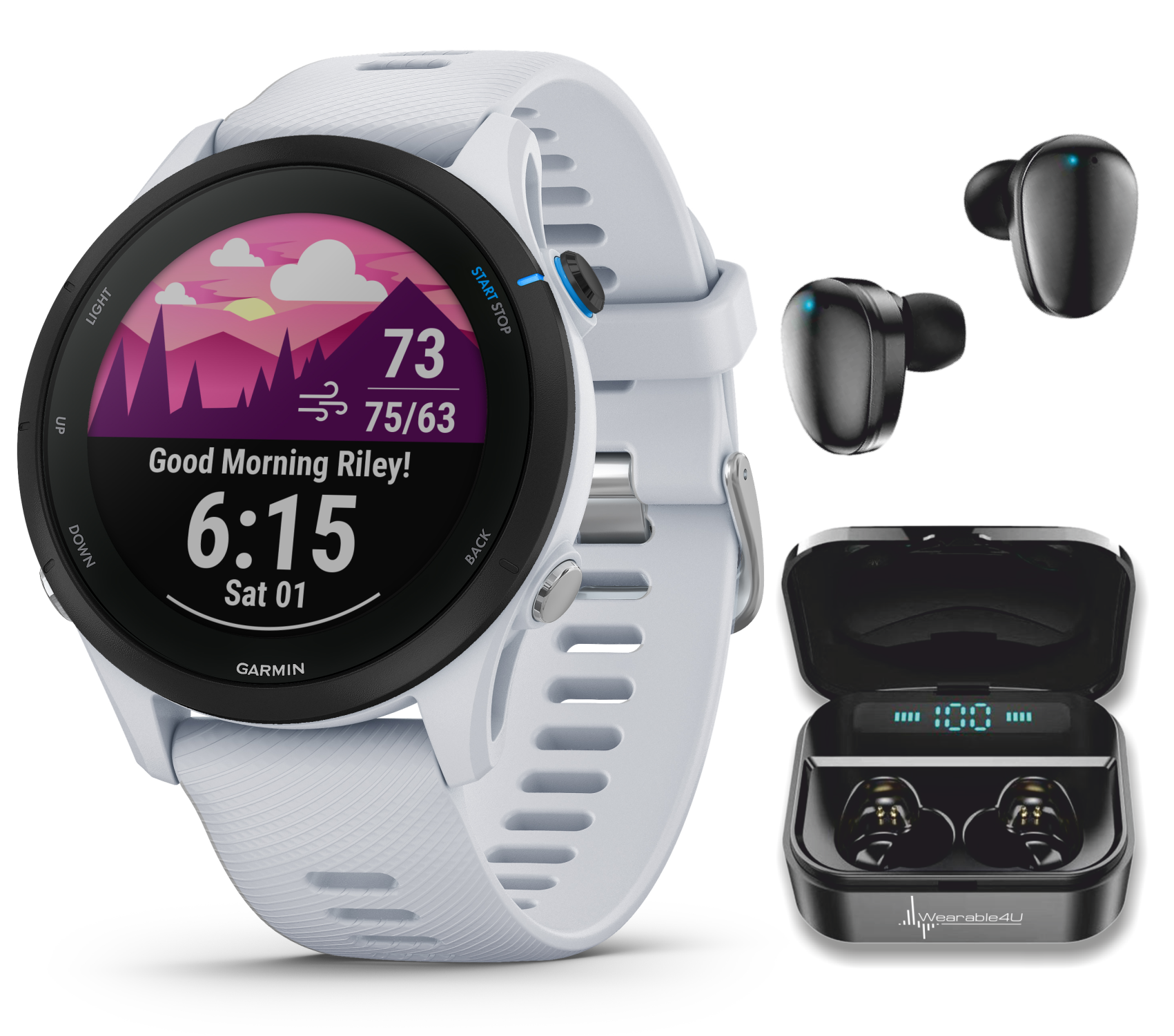 Garmin Forerunner 255 Series GPS Smartwatch, 46 mm or 41 mm with Weara –  Sports and Gadgets