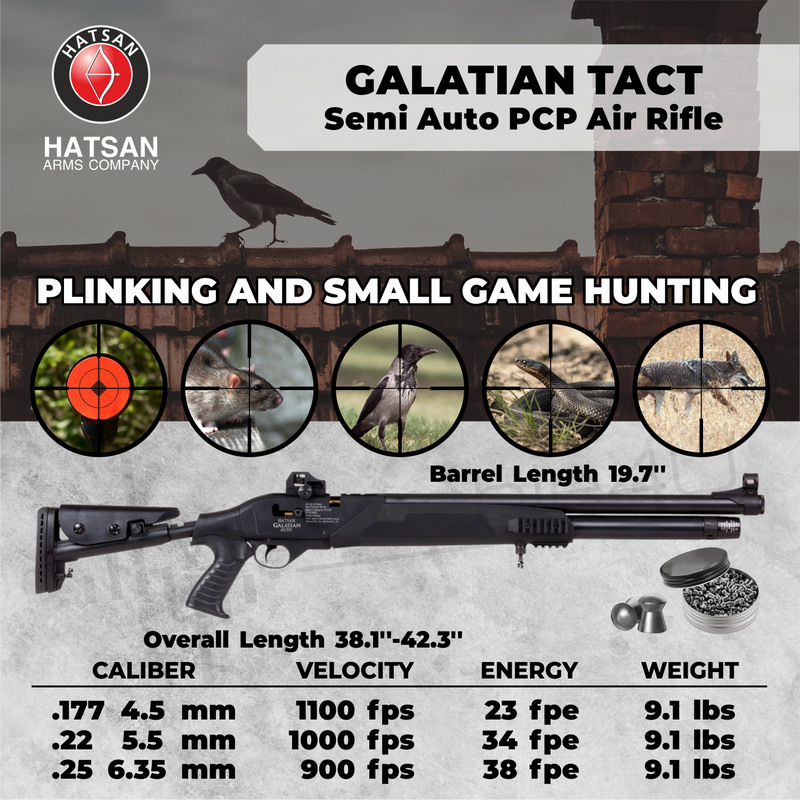 Hatsan Galatian Tact Semi Auto .22 Caliber PCP Air Rifle with Wearable4U .22 cal 250ct Pellets and 100x Paper Targets Bundle