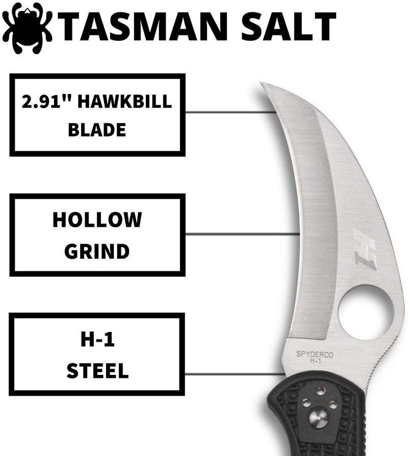 Spyderco C106PBK2 Tasman Salt 2 Black Handle 2.91" Plain Edge Pocket Knife