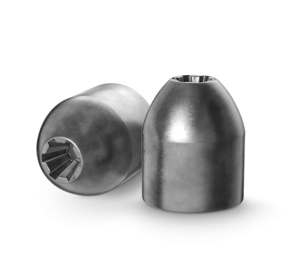 Haendler & Naterman H&N Grizzly .25 Cal/6.35mm 31gr Hollowpoint Air Gun Pellets 150 Count (96325003101)