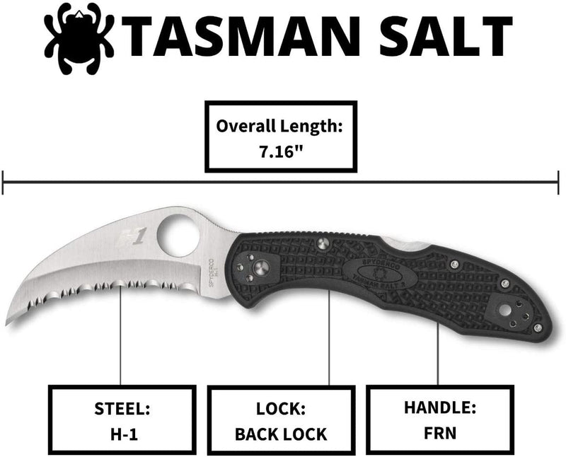 Spyderco Tasman Salt 2 SpyderEdge 2.91" FRN Back Lock Folding Pocket Knife (C106SBK2)