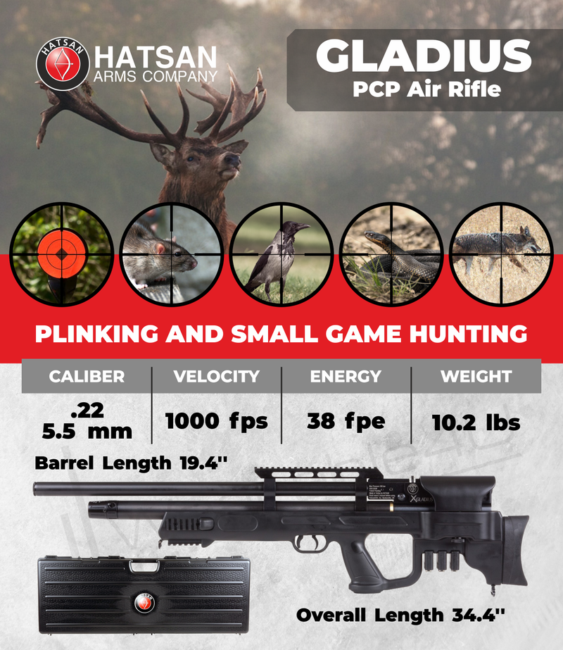 Hatsan Gladius Air Rifle with 100x Paper Targets and Lead Pellets Bundle