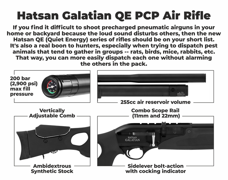 Hatsan Galatian III QW QuietEnergy Air Rifle